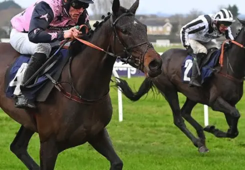 action shot at Wetherby Racecourse where 2 jockeys are cantering all two seal brown horses, wearing brightly coloured jockey silks- black and white striped and white and pink, black and white silks