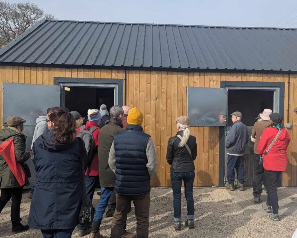 A Stables tour taking place at Wetherby Racecourse supporting the flat cap course walk raising money for Brain Tumour charity in March 2025. Attendees are viewing the stables and being shown what happens behind the scenes at the stable yard before racedays.